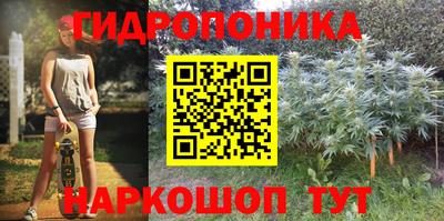 прущие грибы Свободный