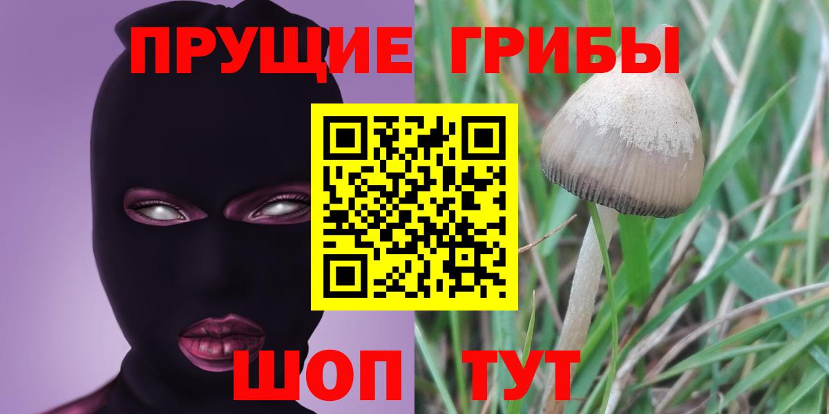 Галлюциногенные грибы мицелий Улан-Удэ