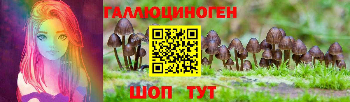 Улан-Удэ  Псилоцибиновые грибы MAGIC MUSHROOMS  Вход с VPN 